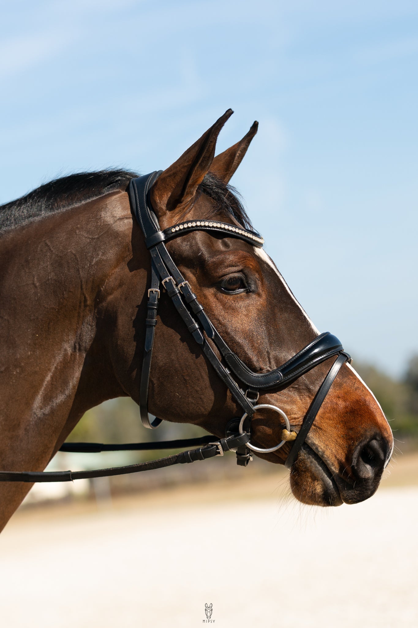 Hidden Flash!  Pro-fit Comfortable Bridle with Patent Noseband and Crystal Browband