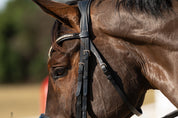 Hidden Flash!  Pro-fit Comfortable Bridle with Patent Noseband and Crystal Browband