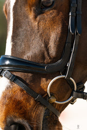 Hidden Flash!  Pro-fit Comfortable Bridle with Patent Noseband and Crystal Browband