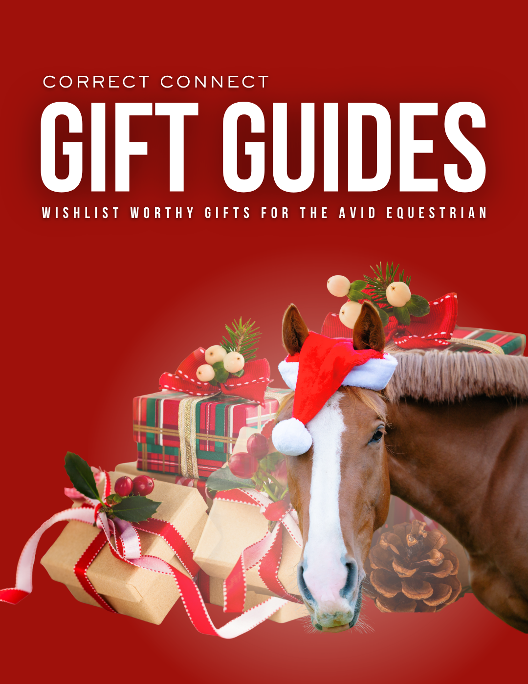 Correct_Connect_Gift_Guides_1080_x_1400_px.png