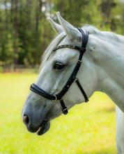 Fusion Noseband