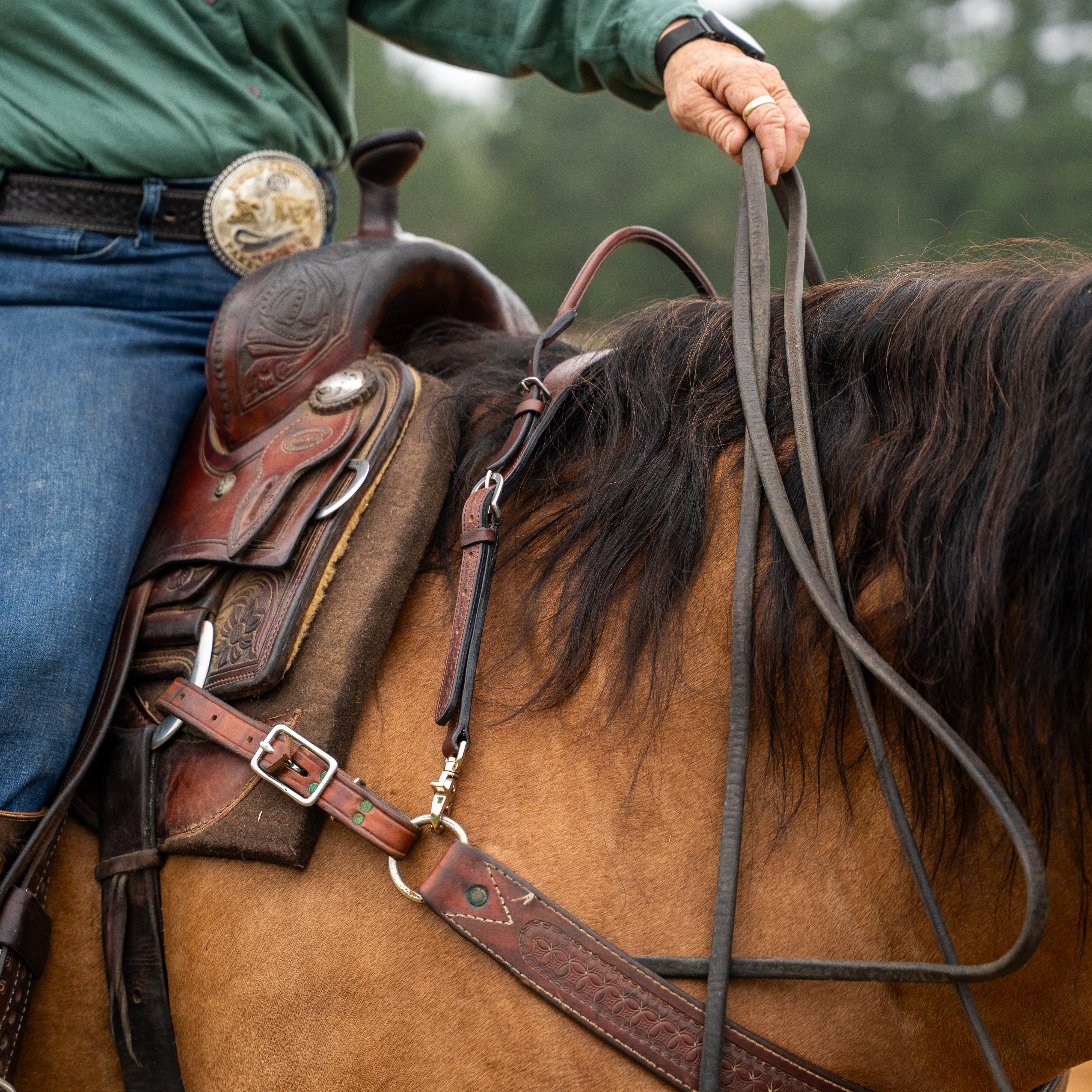 Western Wither Strap with Double neck strap