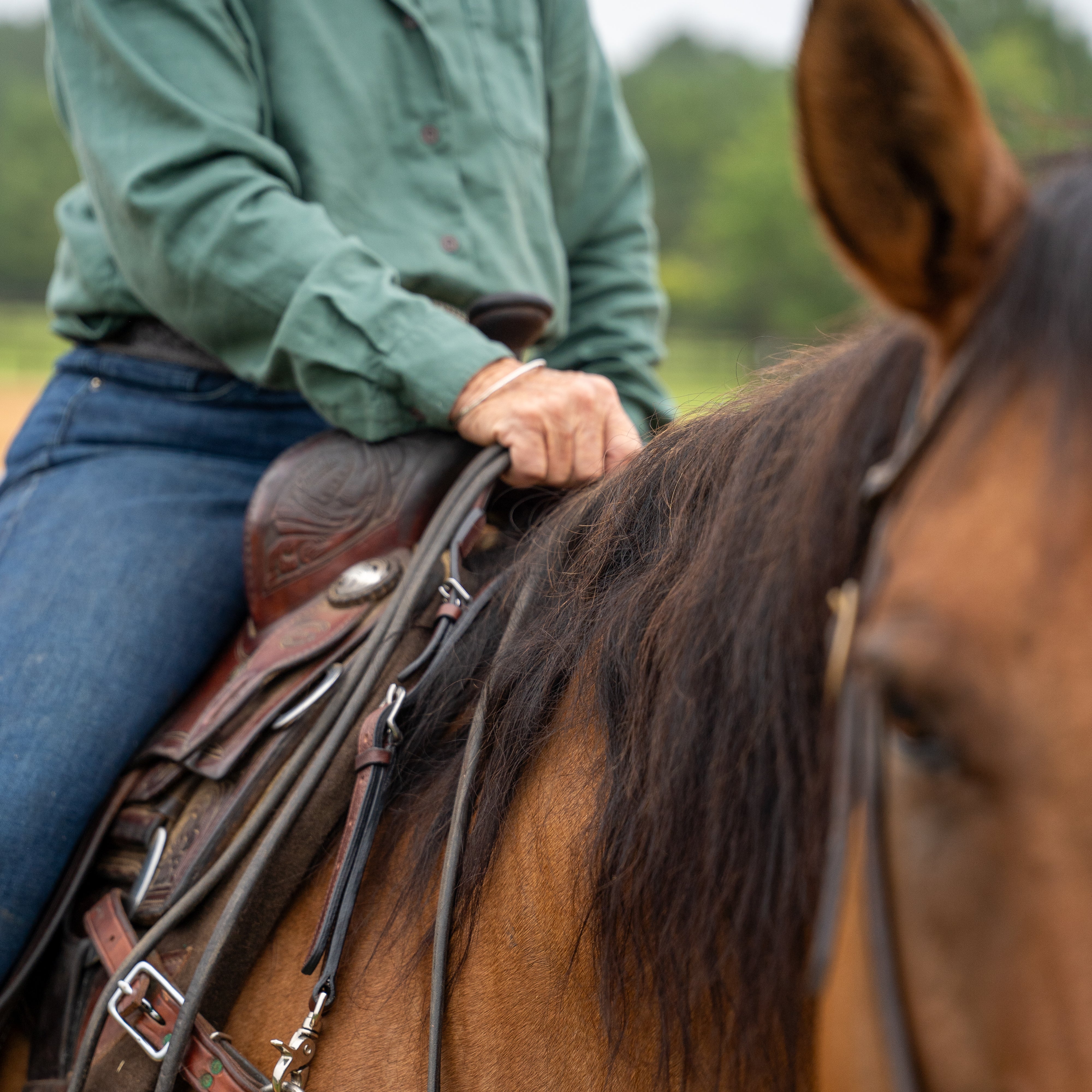 Western Wither Strap with Double neck strap