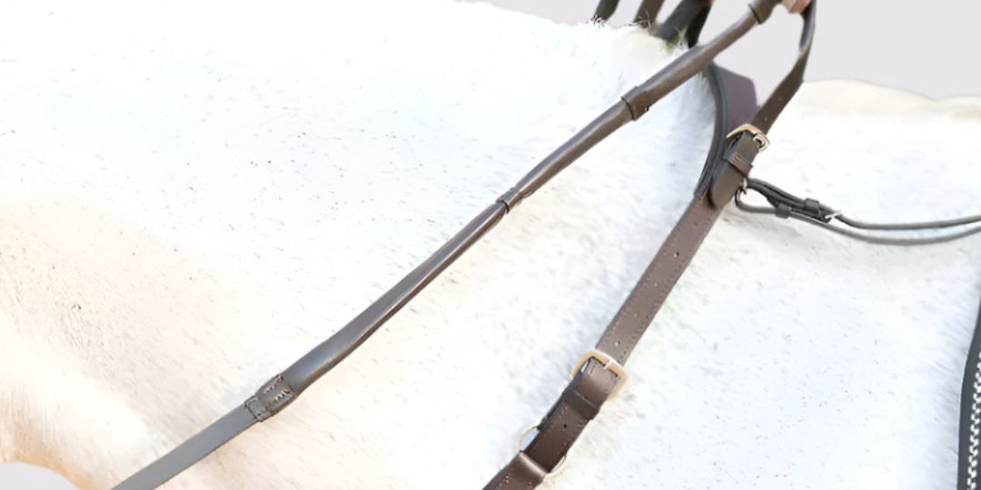 A brown double neck strap on a horse, with straps extending from the saddle D-Rings.