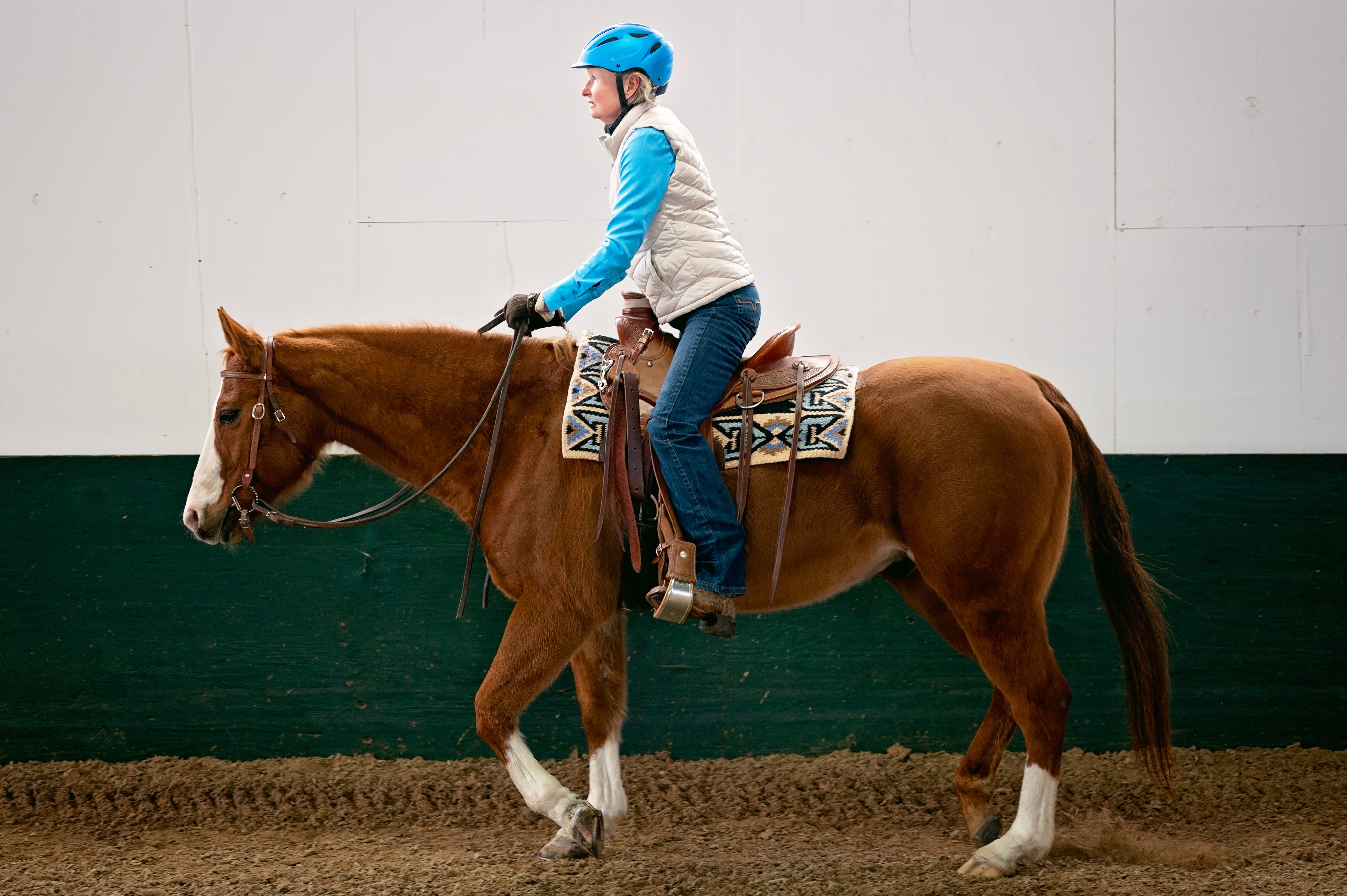 EquicizeBook-SallyBatton2025-04-30at11.41.01AM2.jpg