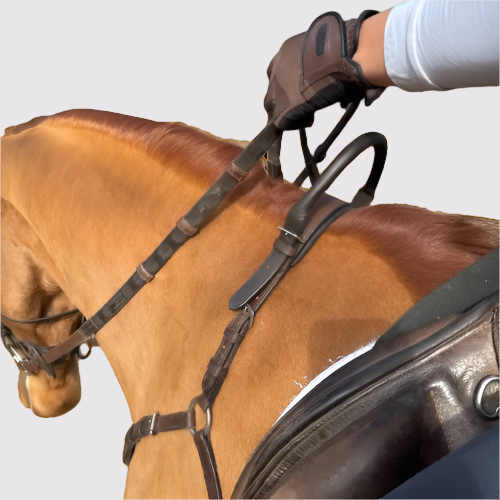 Free_Motion_Breastpalte_Safety_4-removebg-preview.png