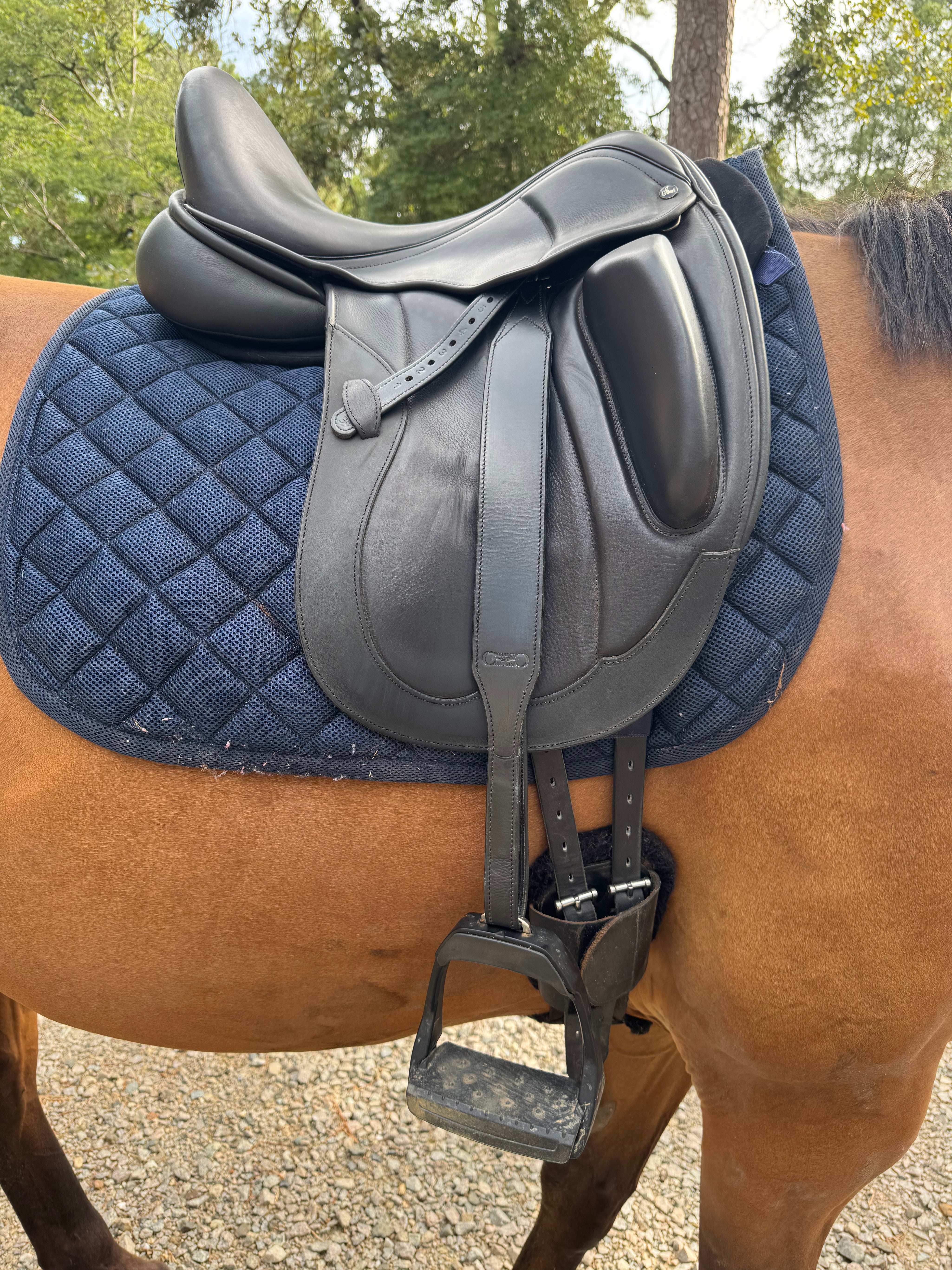 Stability Stirrup Leathers with Stirrup Security Hook