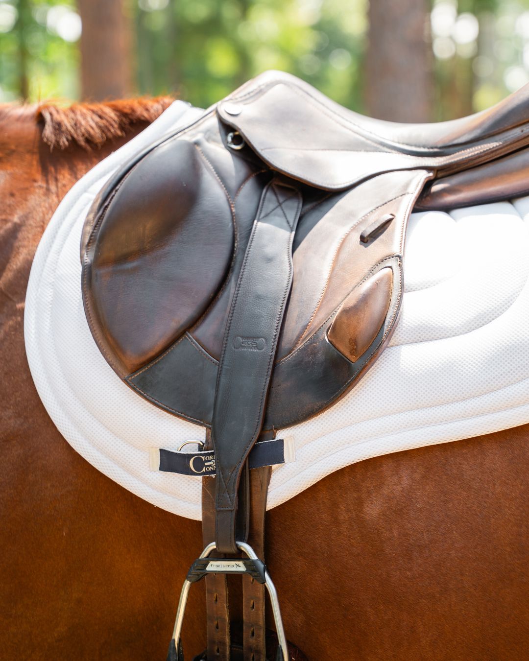 NEW_STABLE_RIDE_MONO_STIRRUP_LEATHER_Instagram_Post_45.jpg