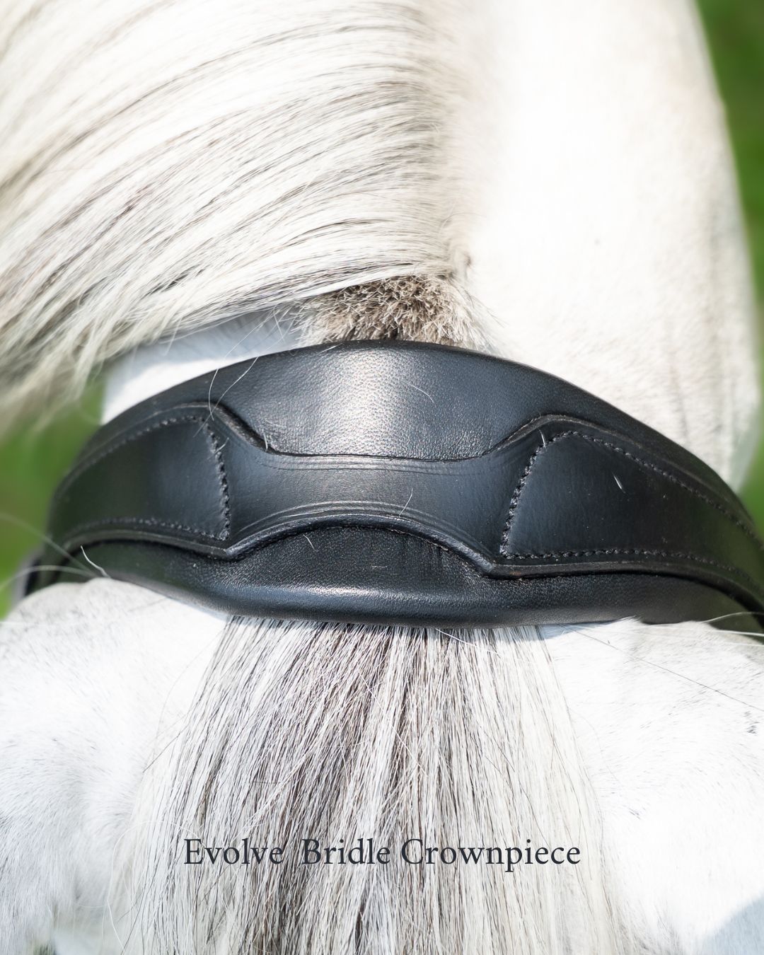 Evolve Comfort Bridle System