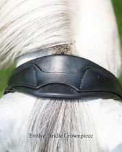 Evolve Comfort Bridle System