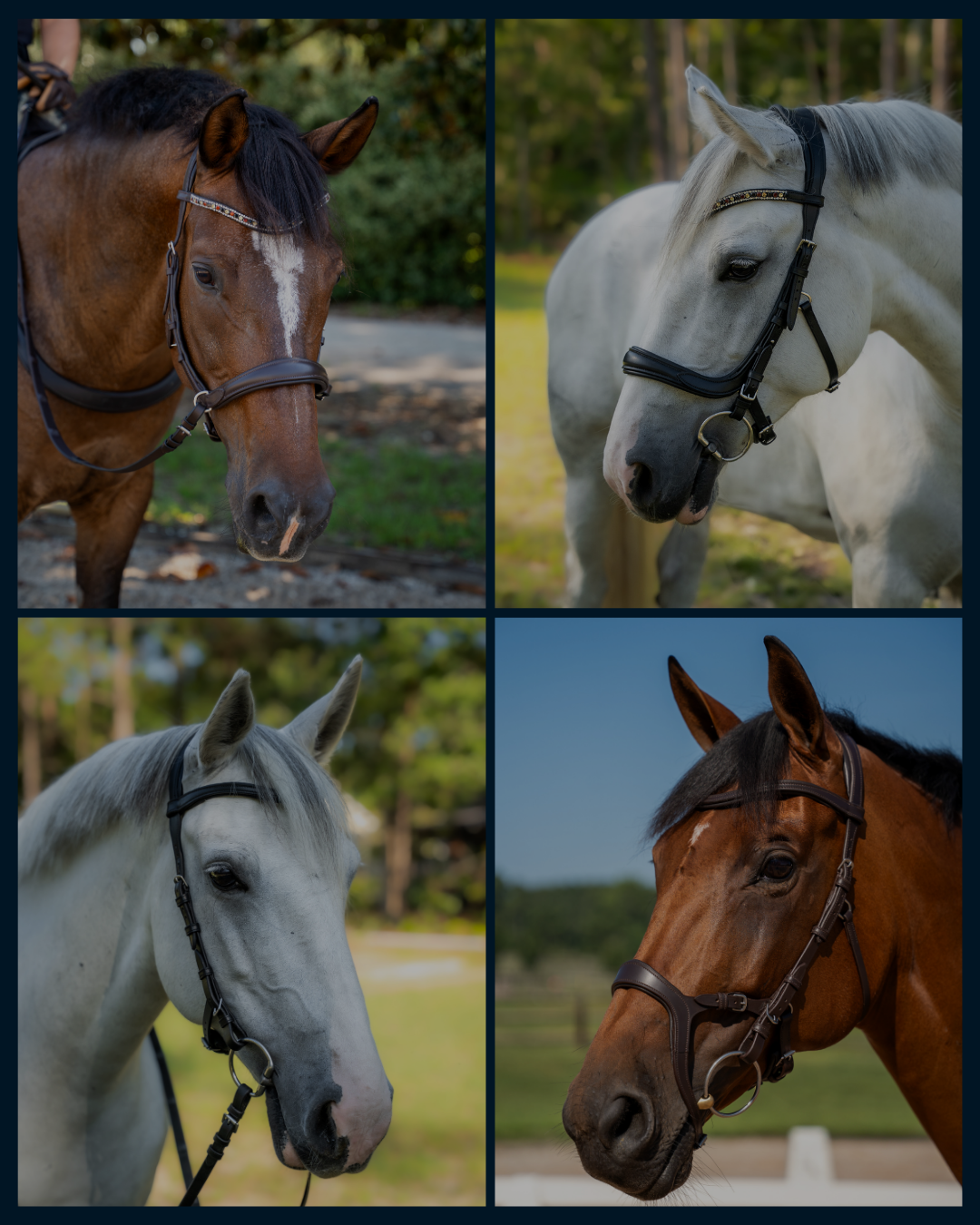 One_Horse._One_Crownpiece._Endless_Possibilities._1.png