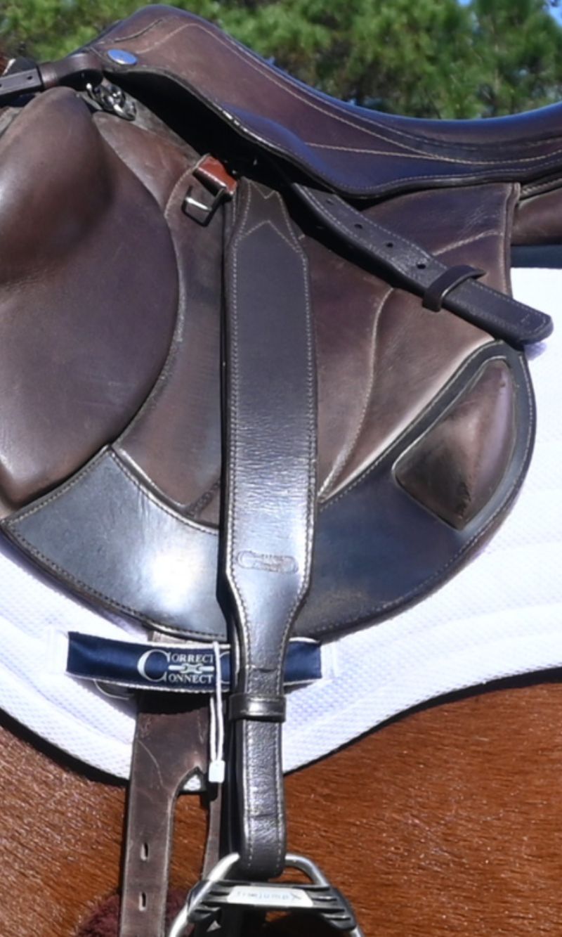Stable Ride Stirrup Leathers with Security Stirrup Latch
