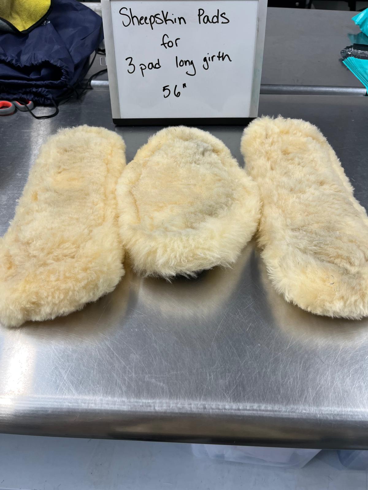 CLEARANCE 56" Sheepskin Pads for Long Comfort Girth w/ 3 Pads