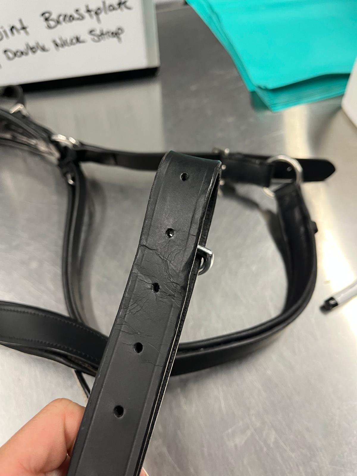 CLEARANCE Black Full 3-Point Breastplate w/ Double neckstrap