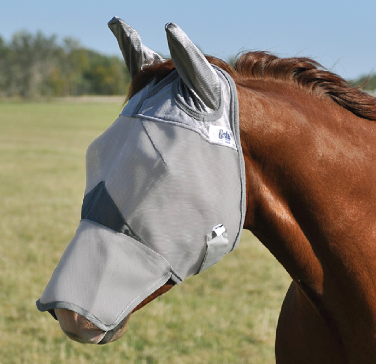 Crusader Long Nose & Ears