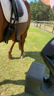 Equisole EXternal-Weighted Training Aid for Equestrians New Product Alert