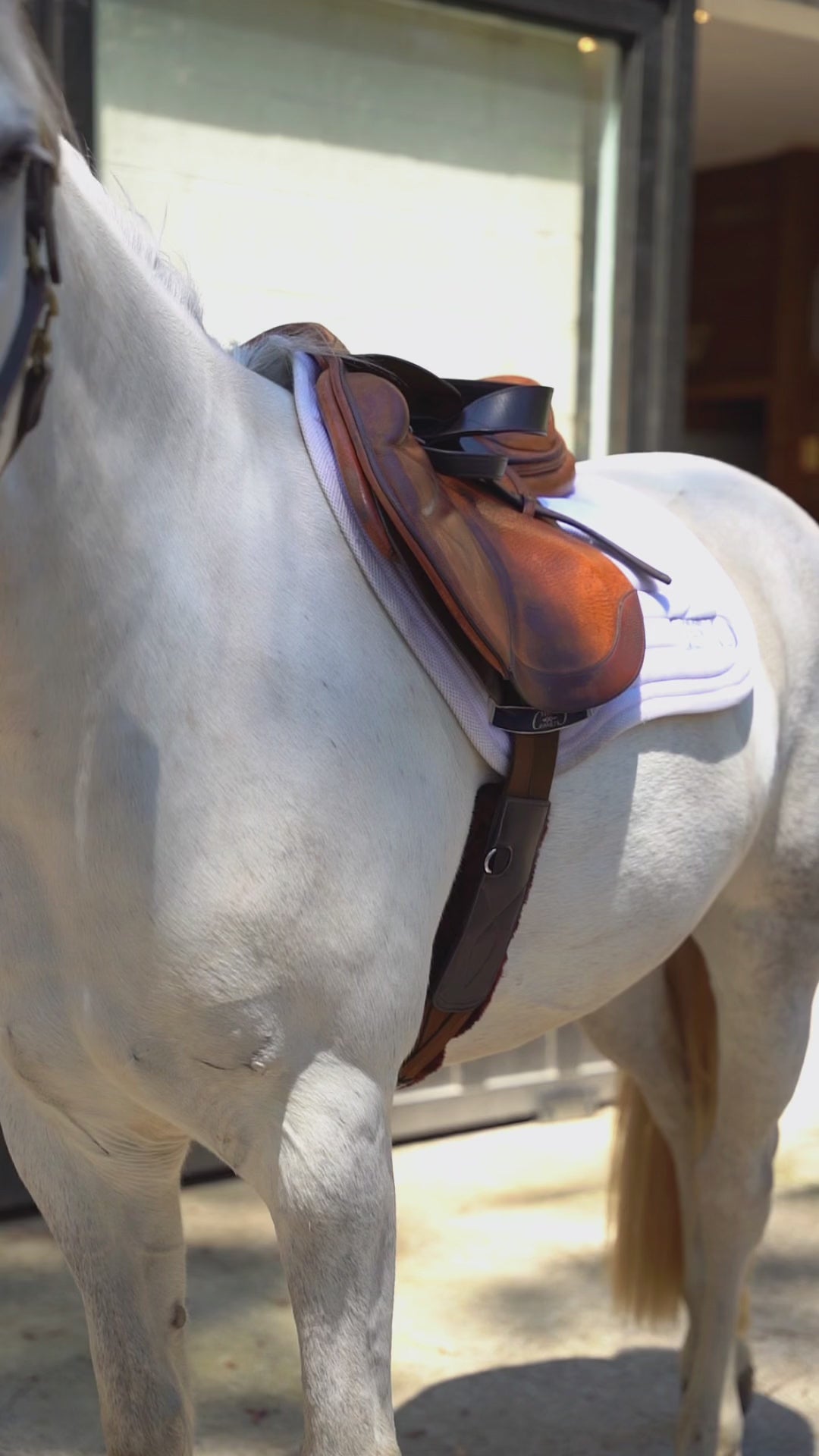 Long Girth with Three Removable Pads