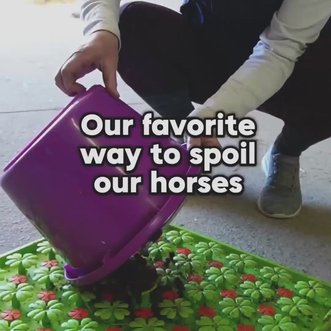 Excellent Horse Snuffle Mat