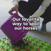 Excellent Horse Snuffle Mat