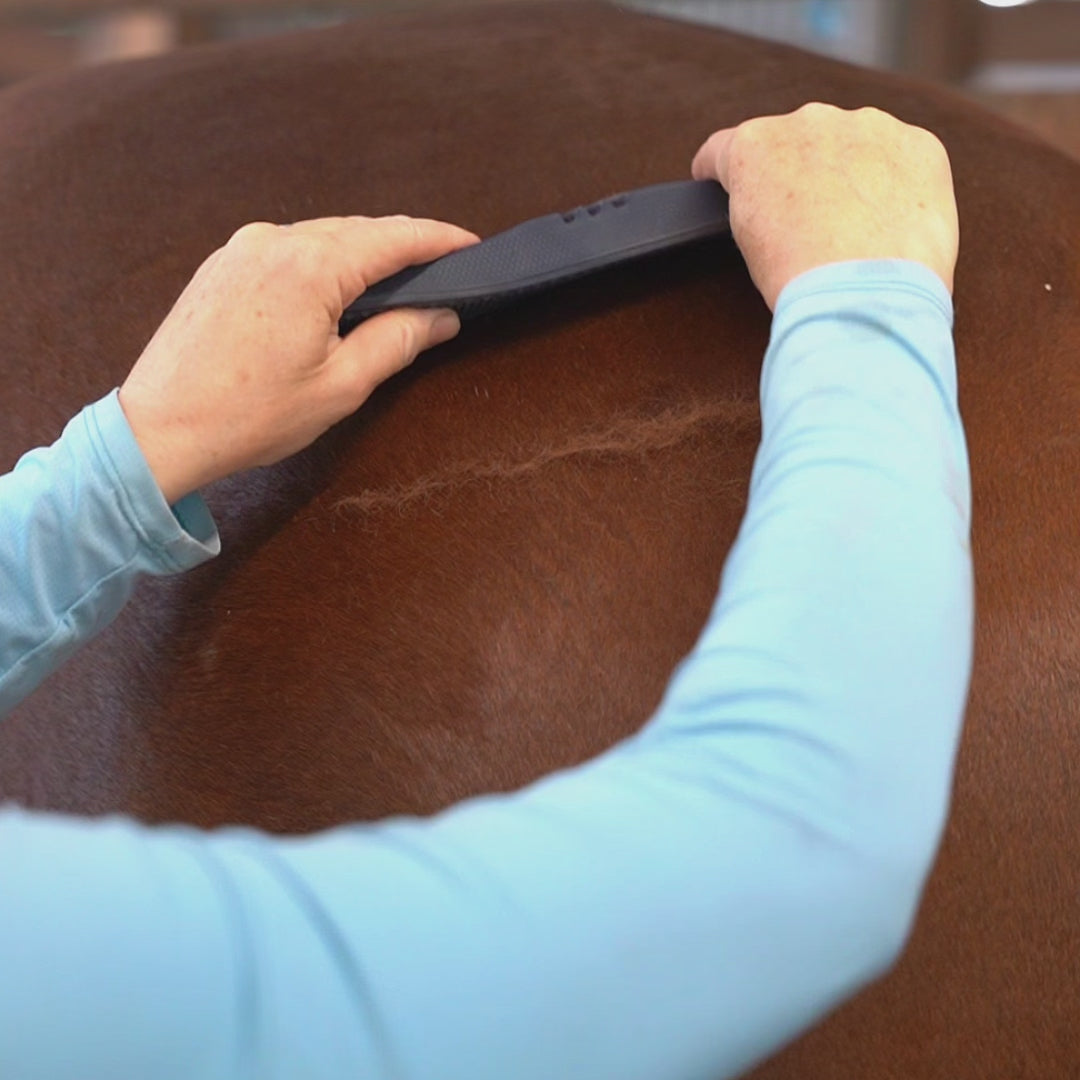 Bow Groomer De-shedding Tool