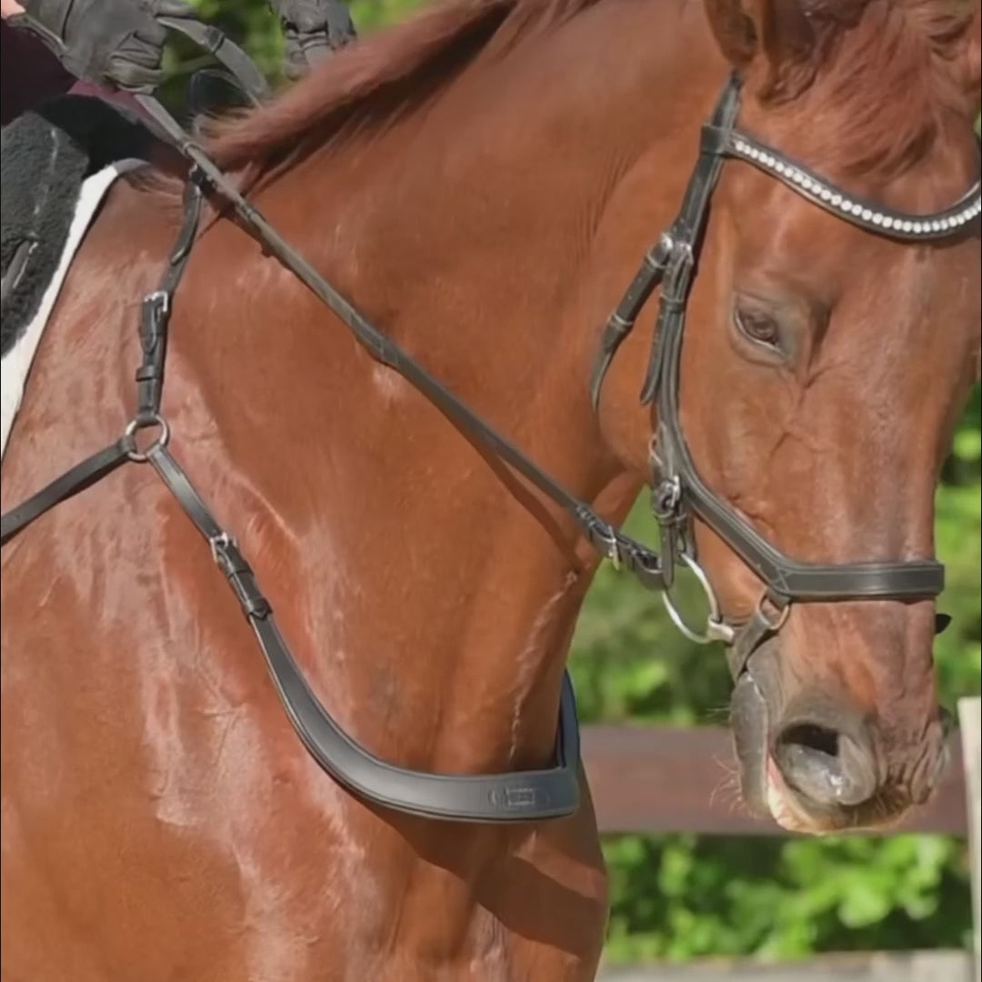 Free Motion Breastplate with Double Neck Strap