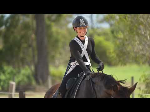 Equisk Engaged Rider Resistance Bands
