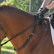Double Neck Strap
